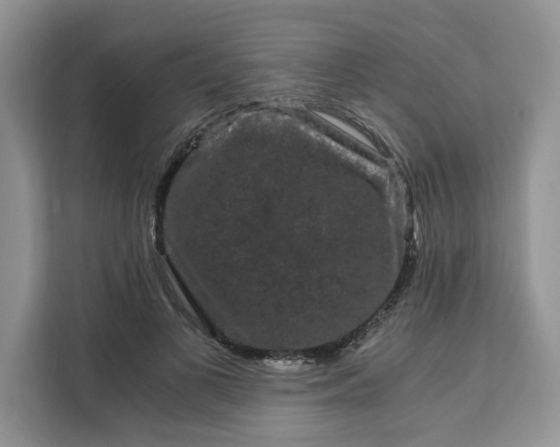 X0000111120693200907141151