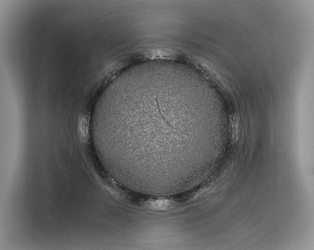 X0000111120695200907141151