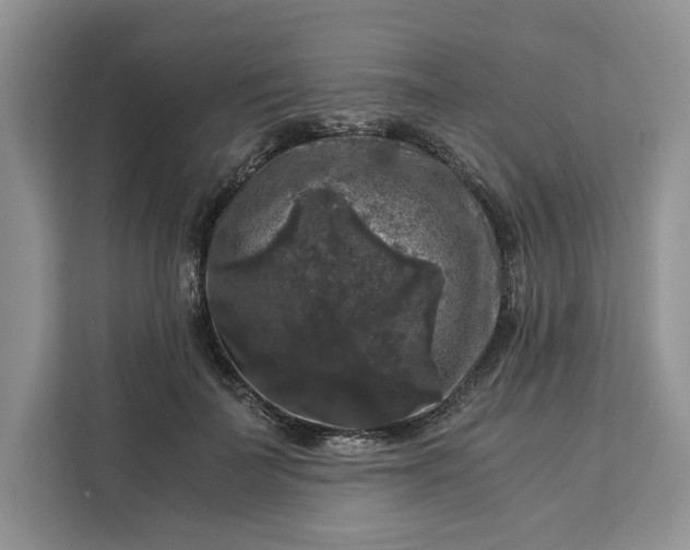 X0000111120699200907141151