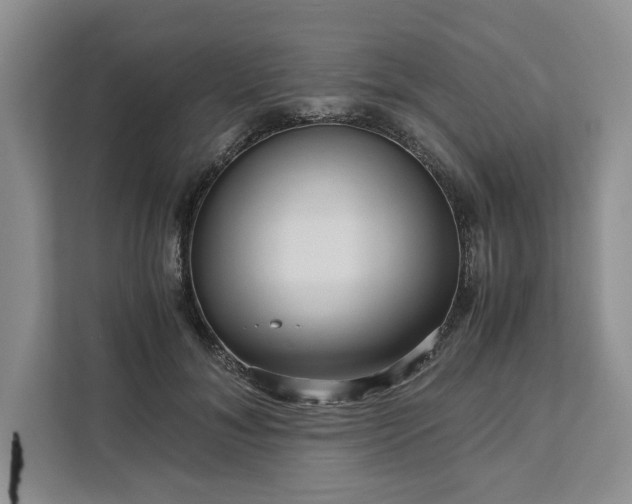 X0000111120700200907141151