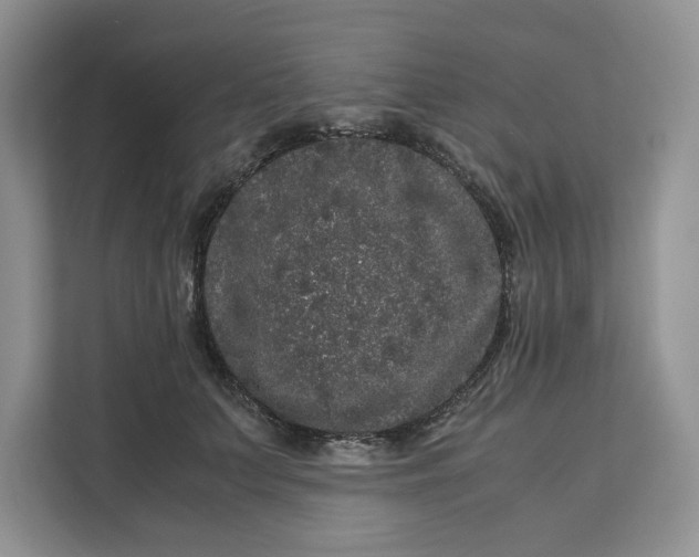 X0000111120703200907141151