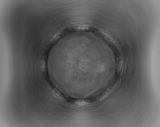 X0000111120704200907141151