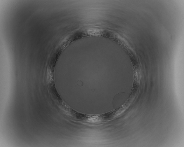 X0000111120705200907141151