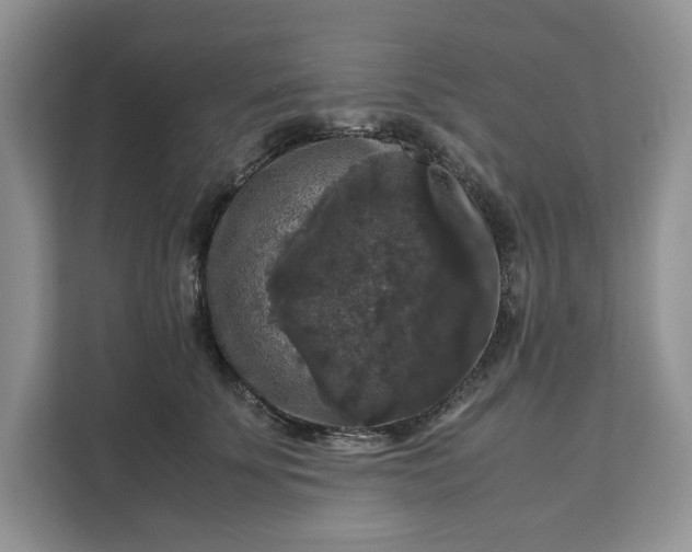 X0000111120707200907141151