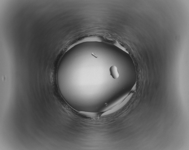 X0000111120708200907141151