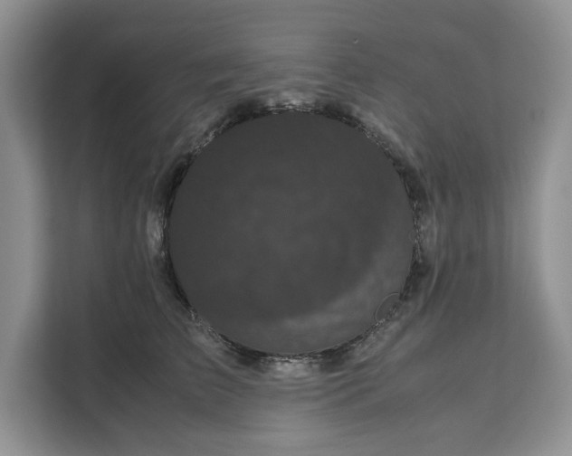 X0000111120709200907141151