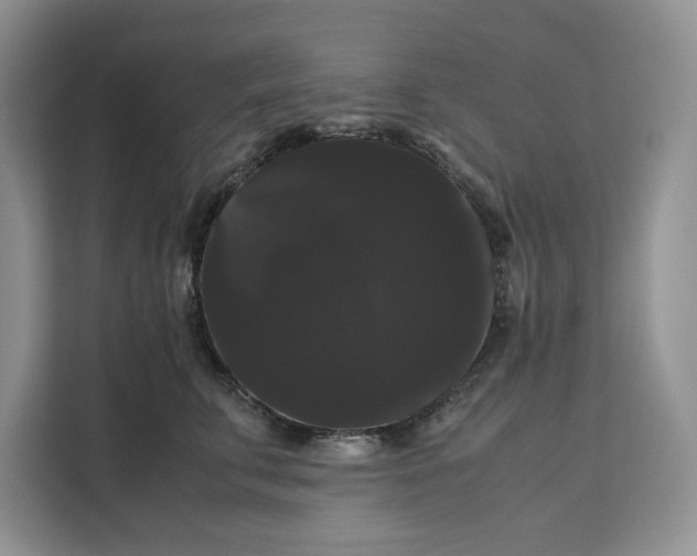 X0000111120711200907141151