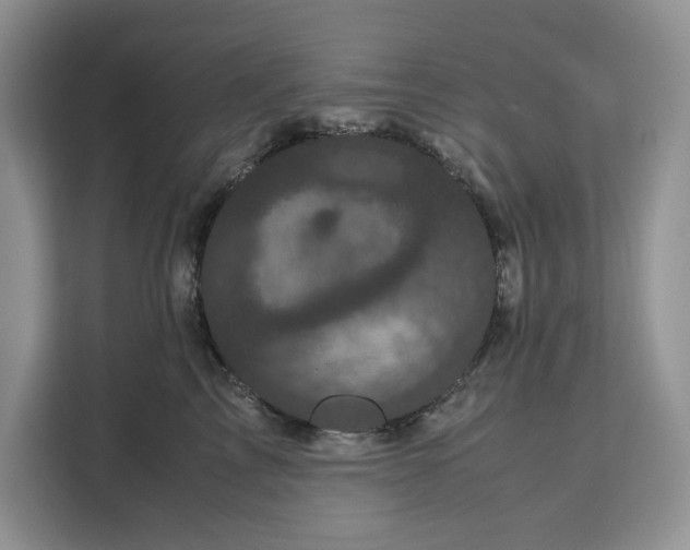 X0000111120713200907141151