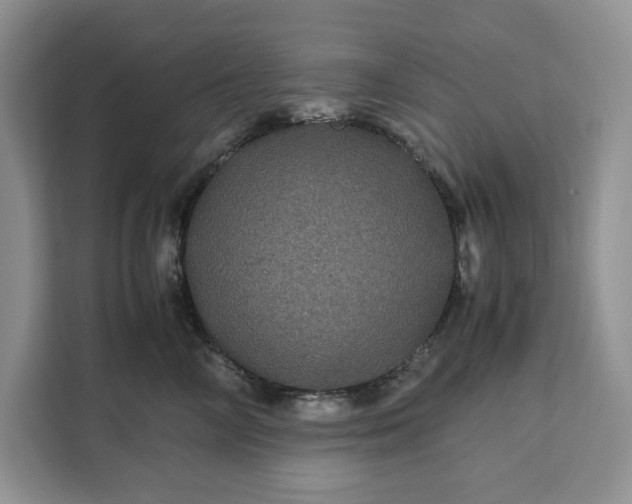 X0000111120714200907141151