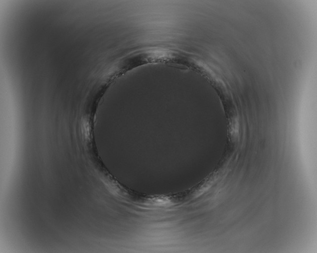 X0000111120715200907141151