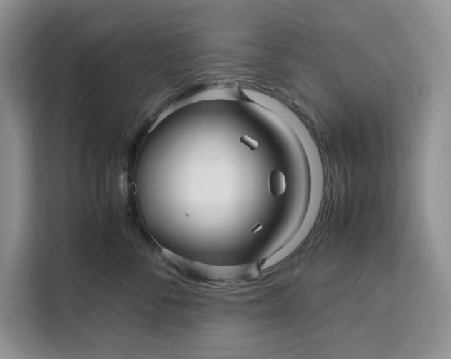 X0000111120716200907141151