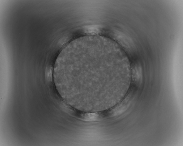 X0000111120717200907141151