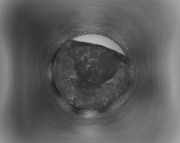 X0000111120719200907141151