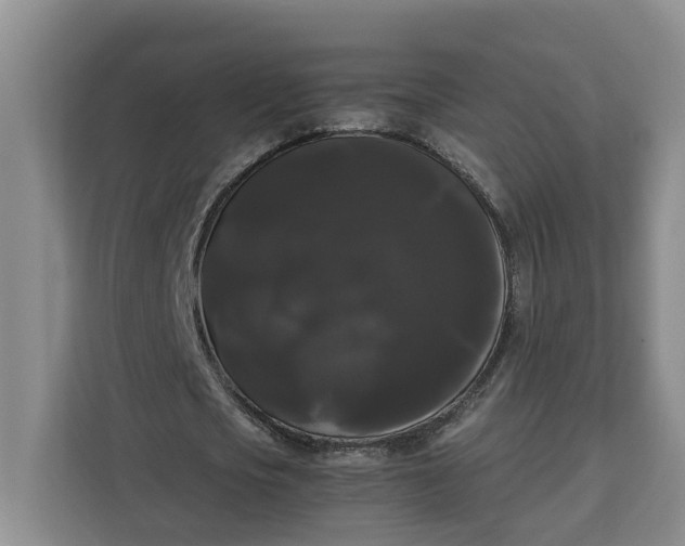 X0000111120721200907141150