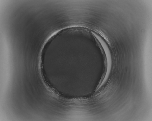 X0000111120724200907141150