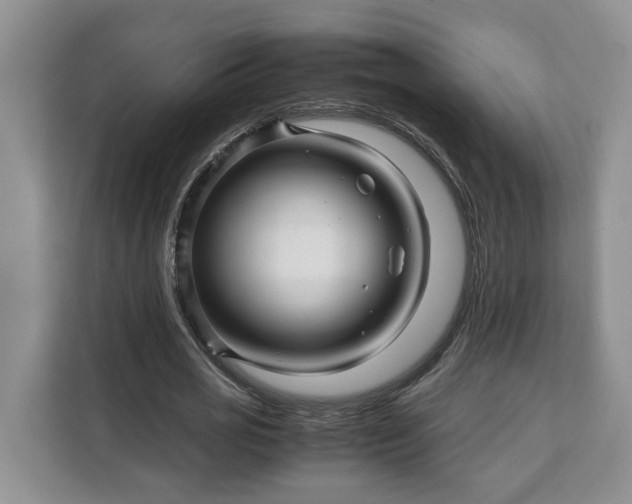 X0000111120725200907141150