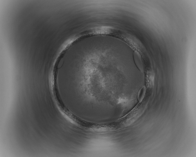 X0000111120726200907141150