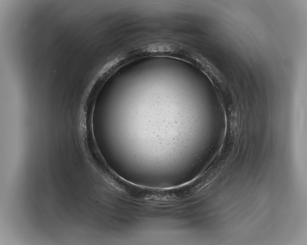 X0000111120727200907141150