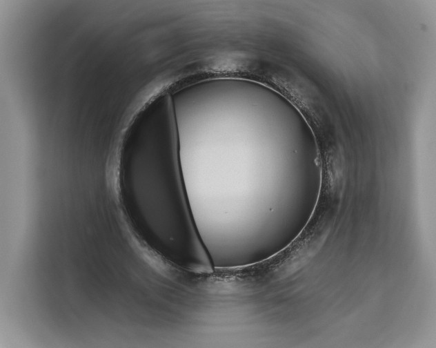 X0000111120728200907141150