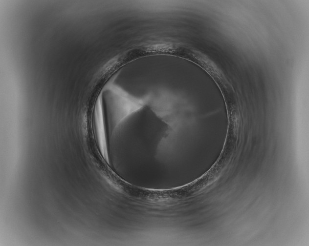 X0000111120729200907141150