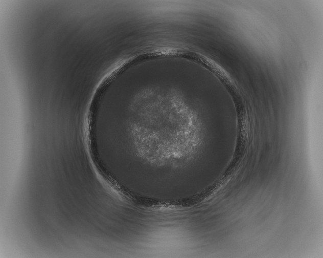 X0000111120730200907141150