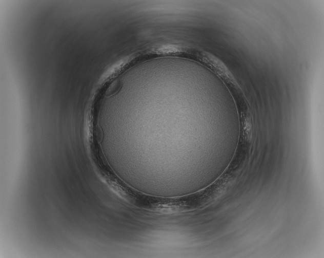 X0000111120732200907141150