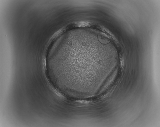 X0000111120733200907141150