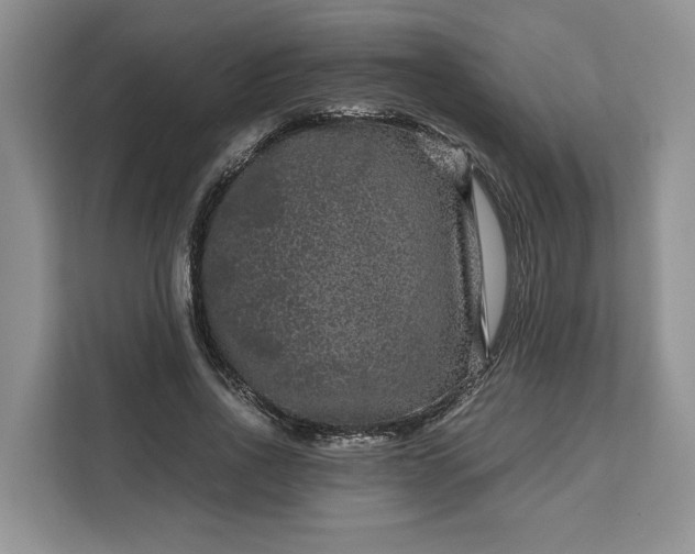 X0000111120734200907141150