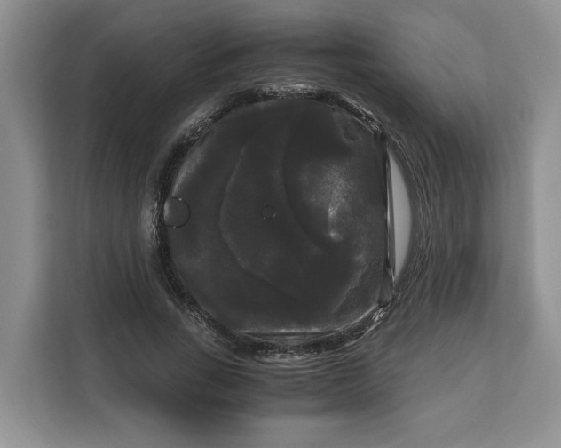 X0000111120735200907141150