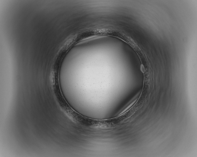 X0000111120738200907141150