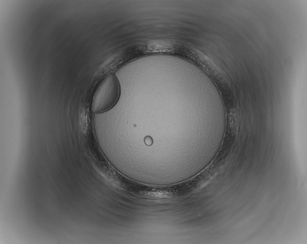 X0000111120741200907141150