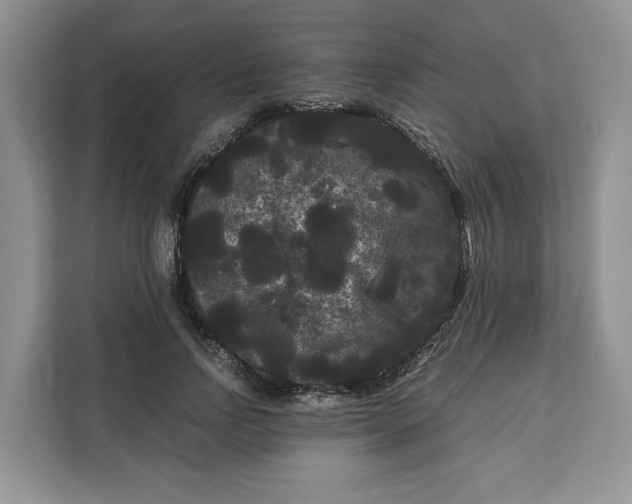 X0000111120742200907141150