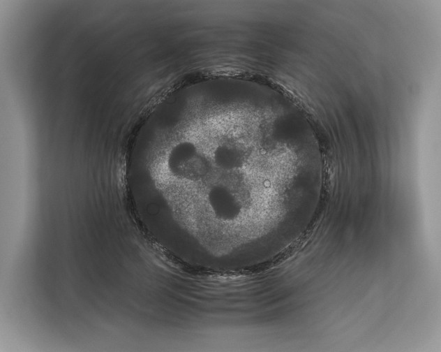 X0000111120745200907141150