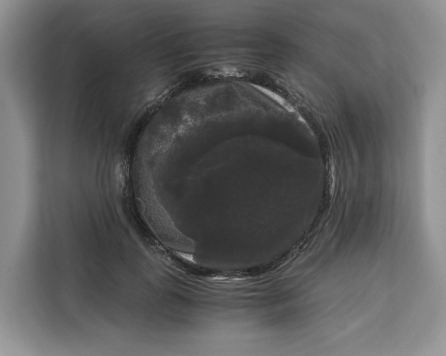 X0000111120747200907141150