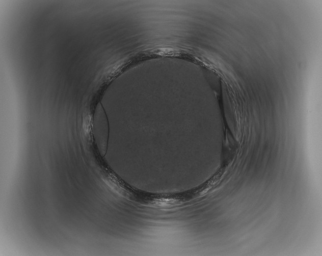 X0000111120748200907141150