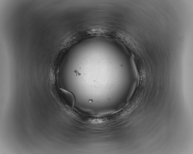 X0000111120751200907141150