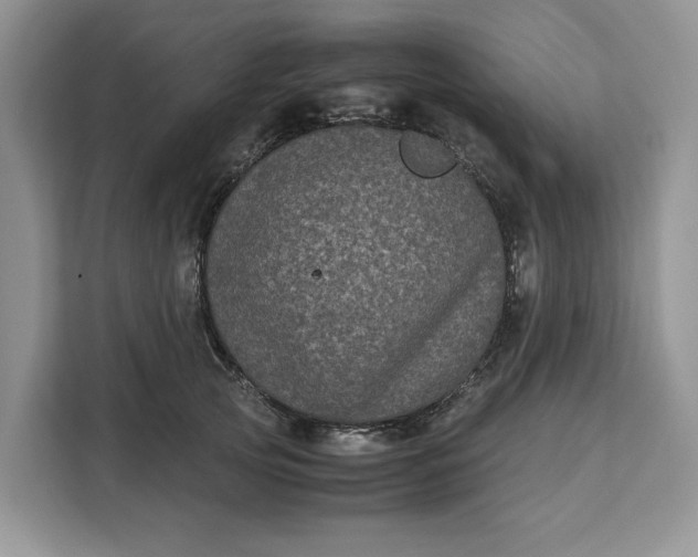 X0000111120753200907141150