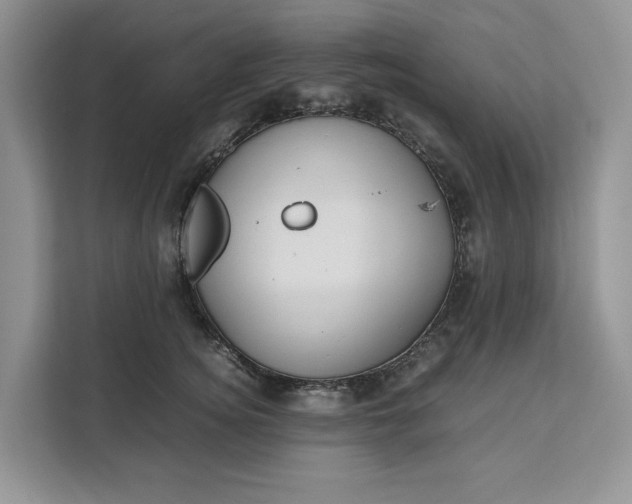 X0000111120756200907141150