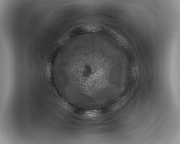 X0000111120757200907141150