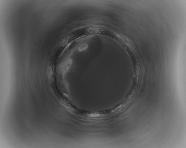 X0000111120759200907141150