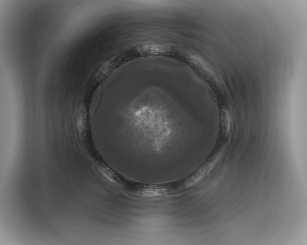 X0000111120760200907141150