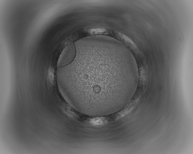 X0000111120761200907141150