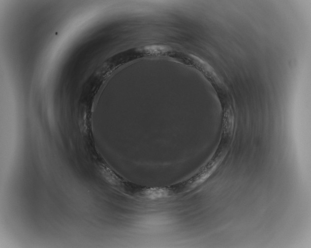 X0000111120762200907141150