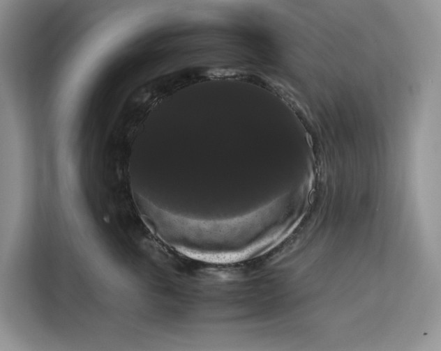 X0000111120763200907141150