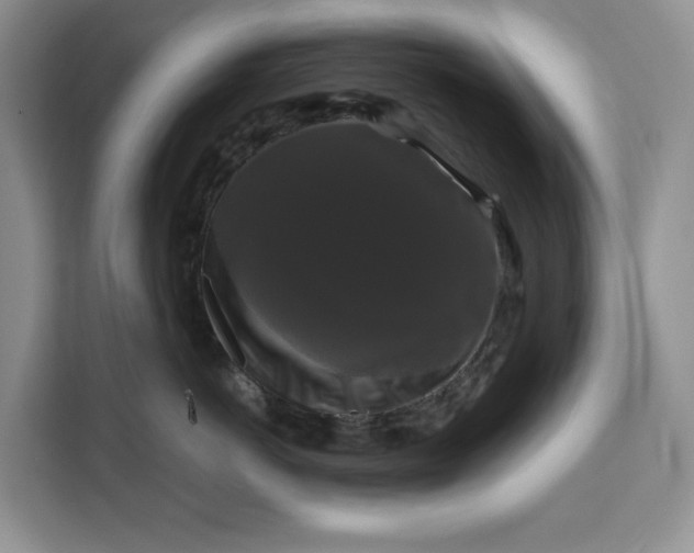 X0000111120766200907141151