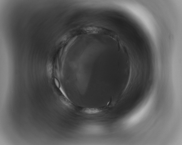 X0000111120767200907141151