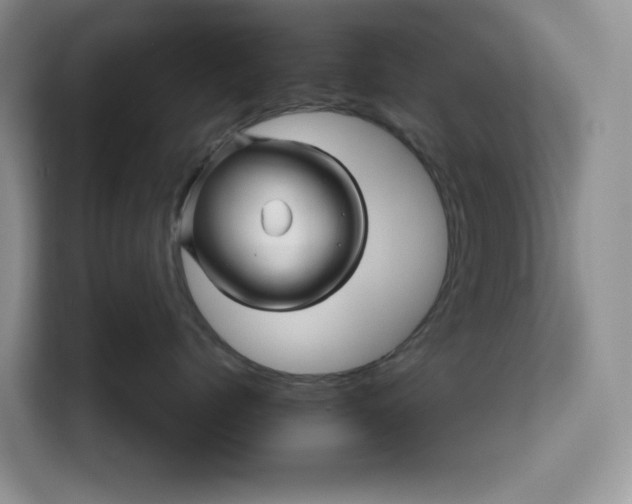 X0000111120768200907141151