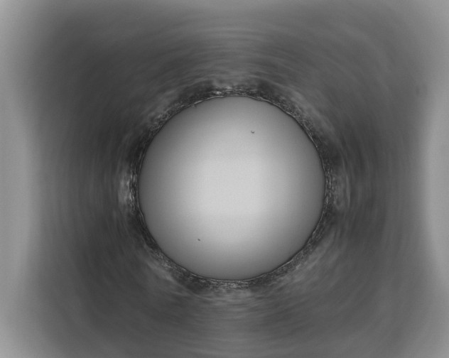 X0000111120770200907141150