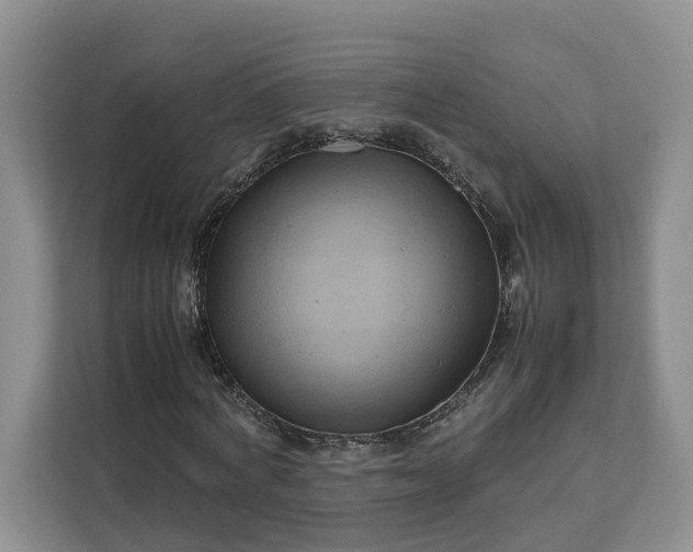 X0000111120772200907141150