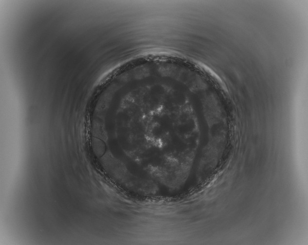 X0000111120775200907141150